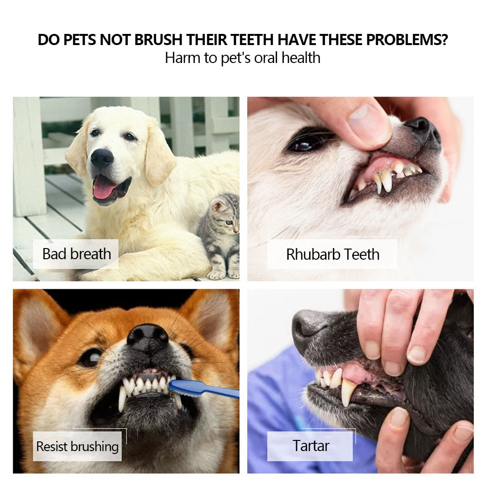 Multi-Angle Three Sided Pet Toothbrush