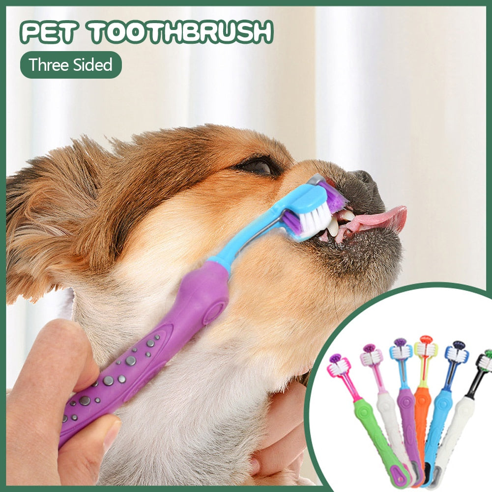 Multi-Angle Three Sided Pet Toothbrush